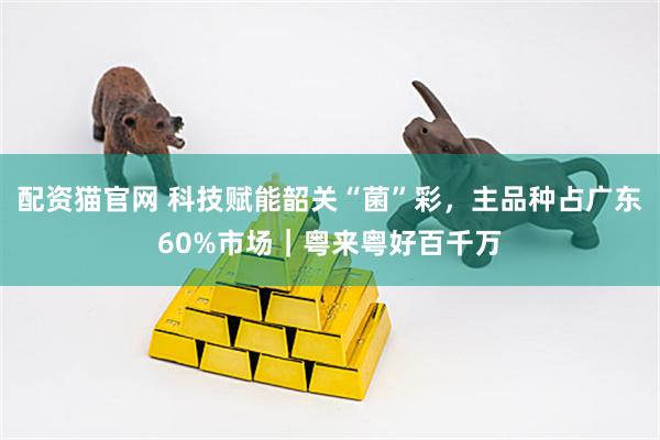 配资猫官网 科技赋能韶关“菌”彩,主品种占广东60%市场|粤来粤好百千万