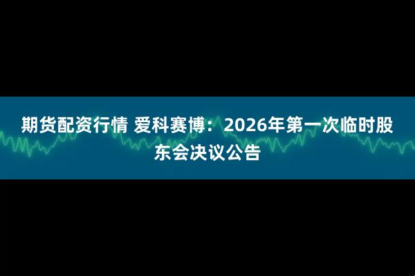 期货配资行情 爱科赛博：2026年第一次临时股东会决议公告
