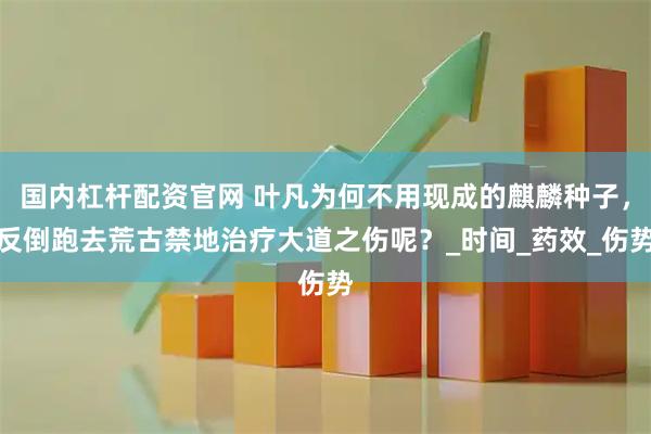 国内杠杆配资官网 叶凡为何不用现成的麒麟种子，反倒跑去荒古禁地治疗大道之伤呢？_时间_药效_伤势