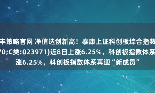 亦丰策略官网 净值迭创新高！泰康上证科创板综合指数增强(A类:023970;C类:023971)近8日上涨6.25%，科创板指数体系再迎“新成员”